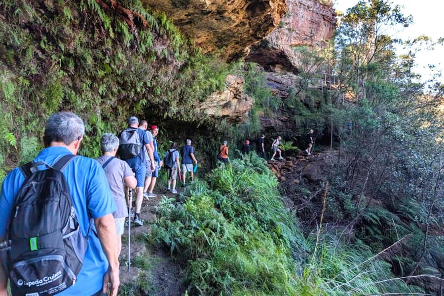 Sydney: Waterfall Bushwalk and Blue Mountain Sunset Day Trip - Walking into Blue Mountains National Park