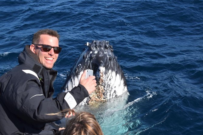 Sydney Whale-Watching by Speed Boat - The crew, explanations, and photographs