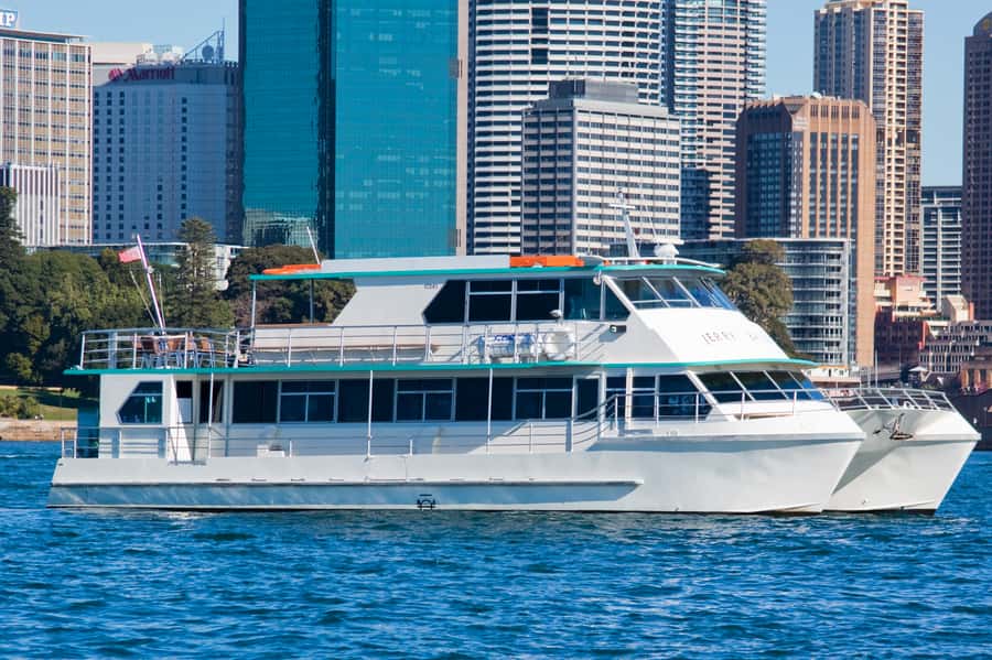 Sydney Whale Watching Cruise with Breakfast or Lunch - Who should book this Sydney whale cruise?