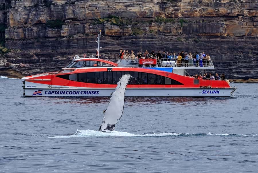 Sydney: Whale Watching & Hop On Hop Off Cruise Package - The harbour pass and the view from the water