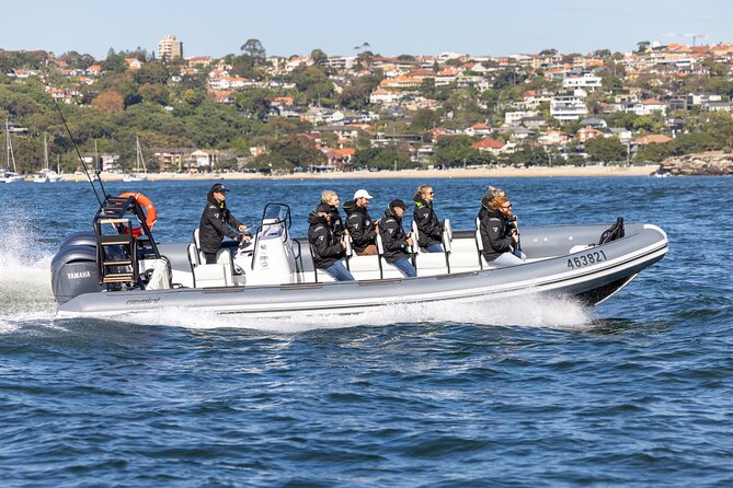 Sydney Whale Watching on Small RIB - Key points to know before you book