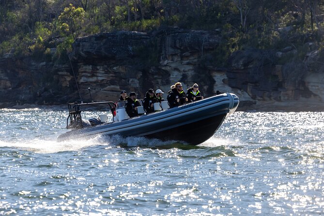Sydney Whale Watching on Small RIB - Why this small RIB changes the whale-watching trip