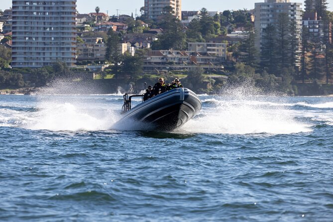 Sydney Whale Watching on Small RIB - Spending up to 85 minutes searching for whales