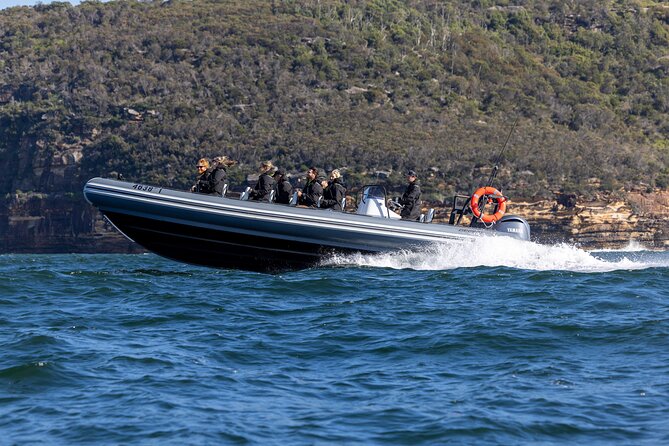 Sydney Whale Watching on Small RIB - The ride back to Circular Quay
