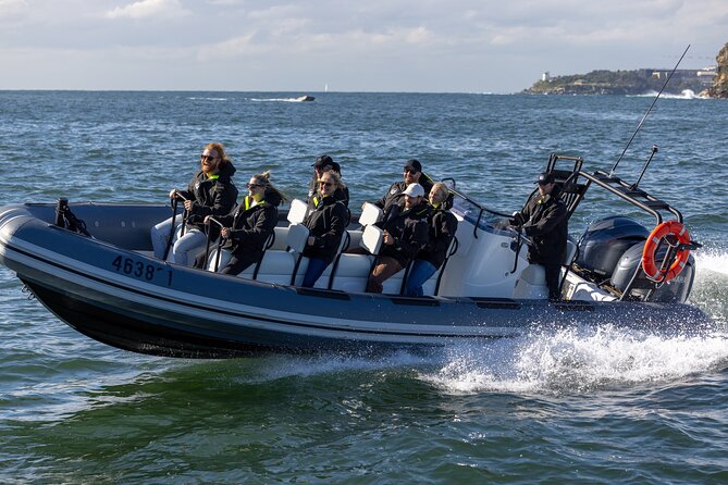 Sydney Whale Watching on Small RIB - What you are paying for at $98.93