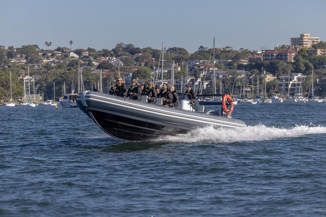 Sydney Whale Watching on Small RIB - Who will enjoy this boat most