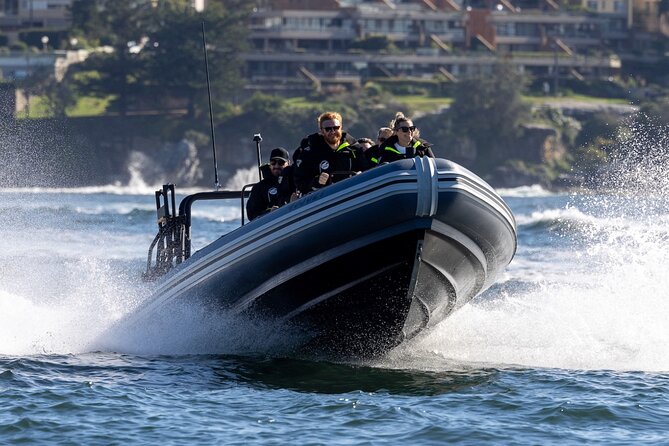 Sydney Whale Watching on Small RIB - Starting at Campbells Cove in Circular Quay