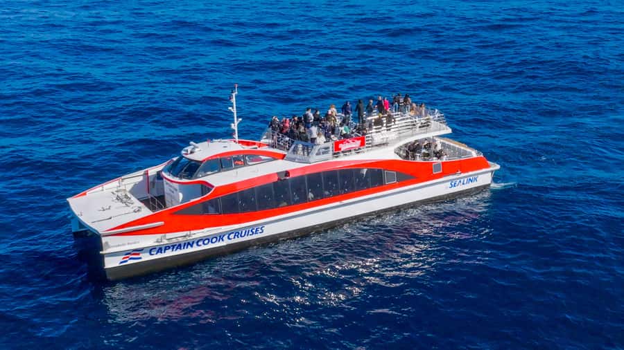 Sydney: Whale Watching & Wildlife Cruise - Commentary from Paul and the crew