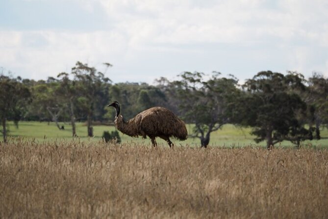 Sydney Wildlife Safari - Leaving Sydney for the Southern Highlands