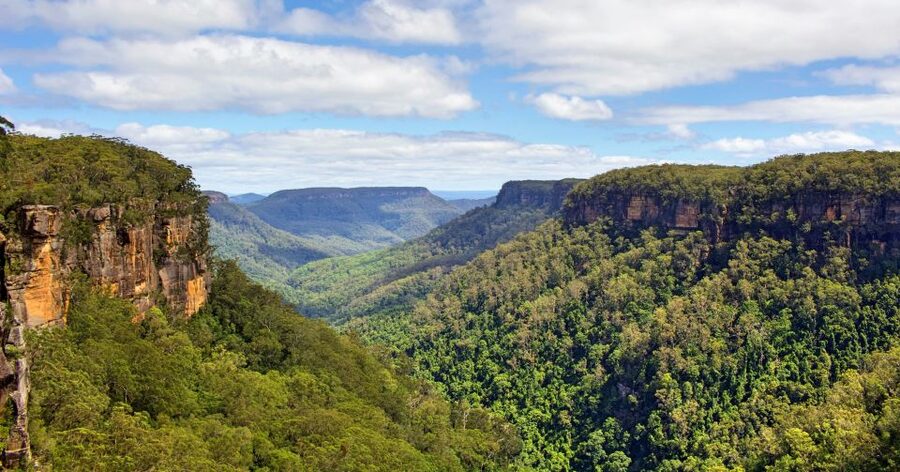 Sydney: Wildlife, Waterfalls and Wine Small Group Tour - What the small minibus changes