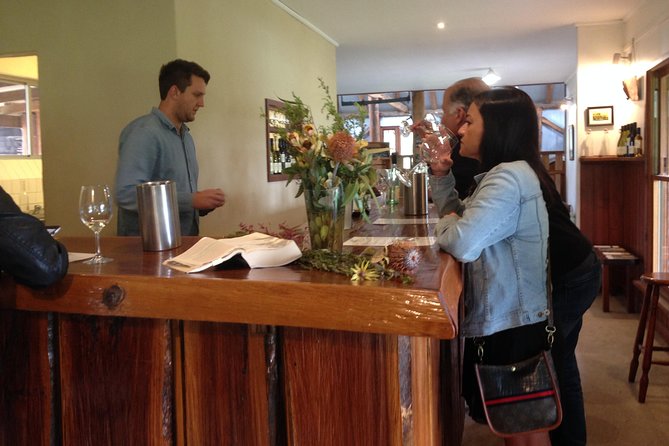 Sydney Wine Tours - Private Wine Tasting Tour to Hunter Valley - Comfort, access, and the long day