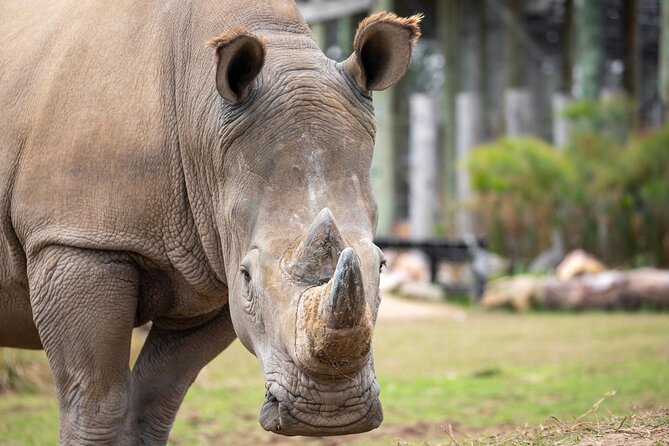 Sydney Zoo General Entry Admission Ticket - What your Sydney Zoo ticket actually gives you