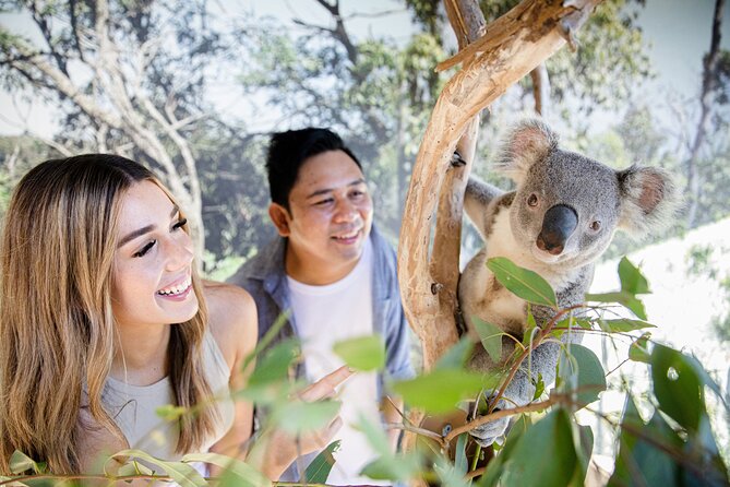 Sydney Zoo General Entry Admission Ticket - Following Primate Boulevard