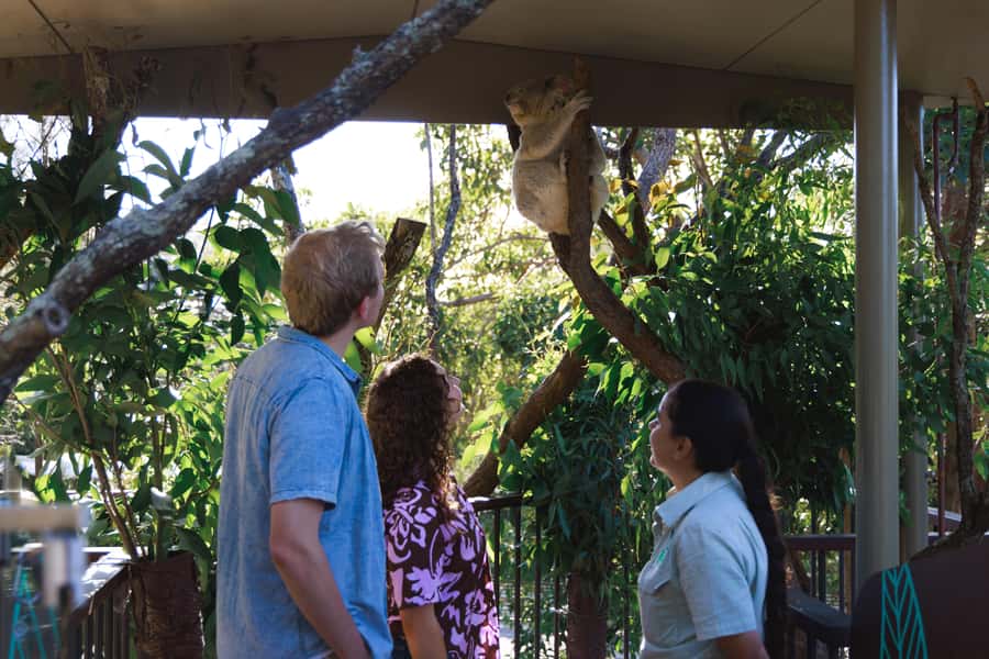 Taronga Zoo Sydney Wild Australia Experience - Why this Taronga Zoo tour feels different
