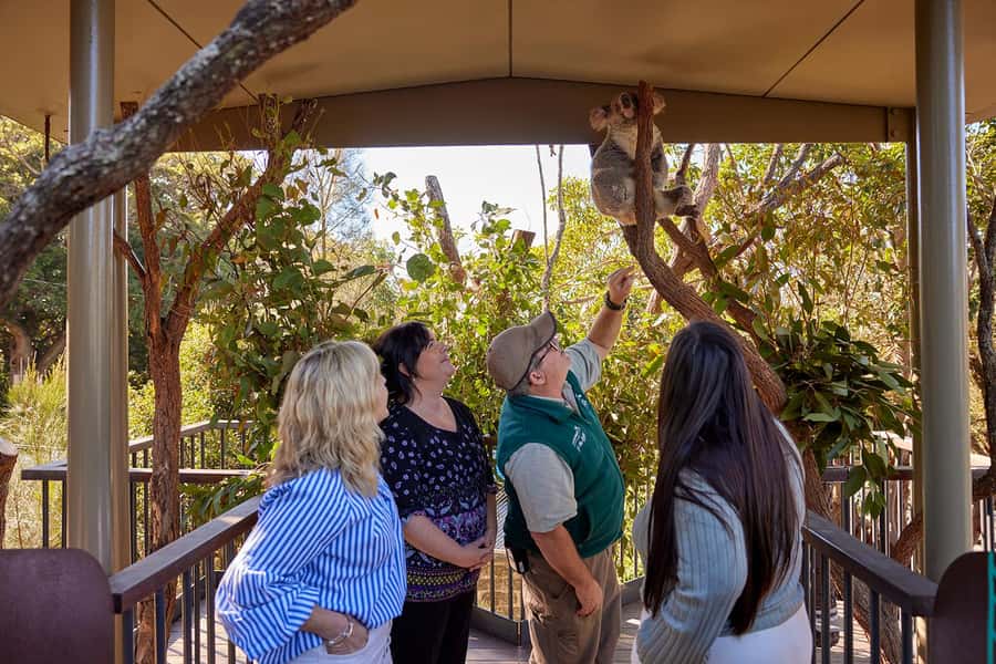 Taronga Zoo Sydney Wild Australia Experience - Platypuses, echidnas, emus, and wallabies add variety