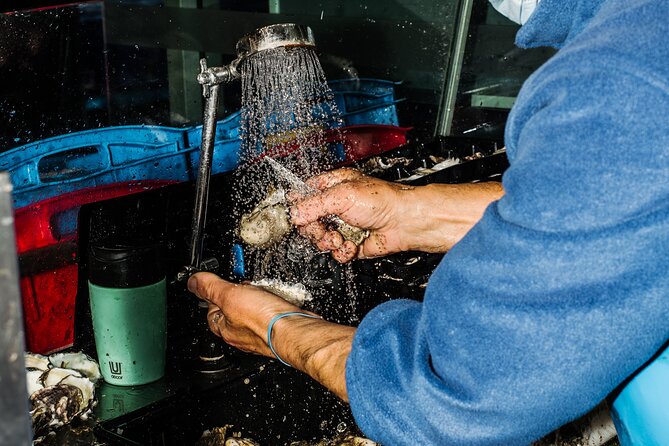 Taste of Sydney Fish Market Food Tour - Following Seafood from the Ocean to Your Plate