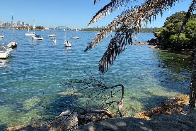 The Top Ten Hidden Harbour Beaches Tour with Jen - Shark Island, sailing, and the famous harbour view