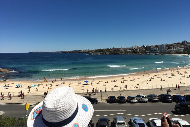 The Top Ten Hidden Harbour Beaches Tour with Jen - Who will enjoy this coastal morning most?