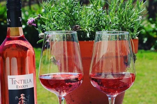 Tintilla Estate: Wine Tasting with a Meat and Cheese Platter - Eight wines, all grown and made on the property