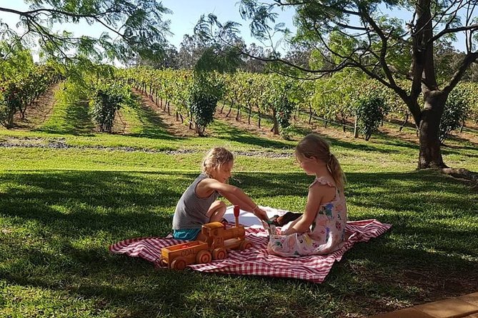 Tintilla Estate: Wine Tasting with a Meat and Cheese Platter - A one-hour stop that fits a Hunter Valley day