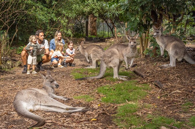 Tour from Eden to Merimbula Wetlands Wildlife and Coastline - Key points to know before booking