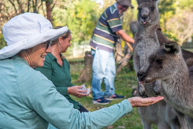 Tour from Eden to Merimbula Wetlands Wildlife and Coastline - Potoroo Palace: your longest wildlife stop