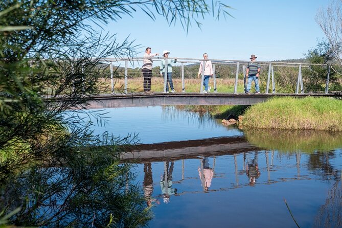 Tour from Eden to Merimbula Wetlands Wildlife and Coastline - The Pinnacles and the story written in stone
