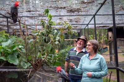 Tour from Eden to Merimbula Wetlands Wildlife and Coastline