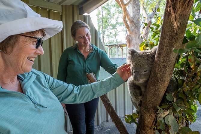 Tour from Eden to Merimbula Wetlands Wildlife and Coastline - What the five-hour schedule feels like