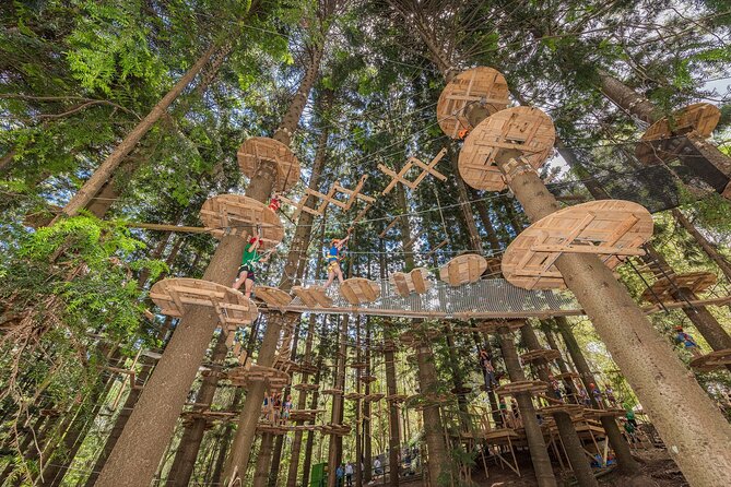 Treetops Adventure The Hills - Tree Ropes Course - Trading Sydney streets for the Cumberland forest