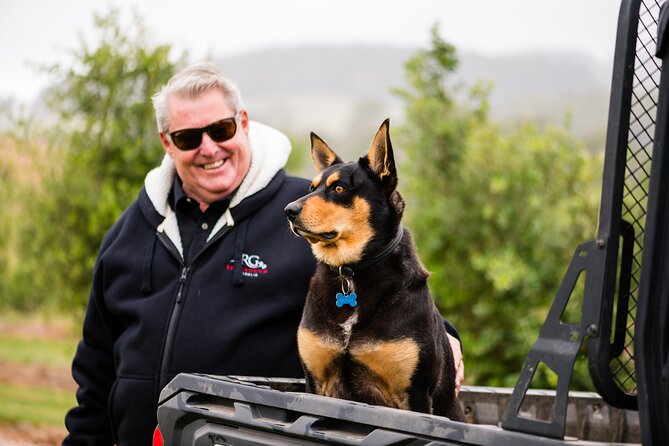 Truffle Hunt and Taste Experience in Oberon, NSW Australia - Following Sarge beneath the trees
