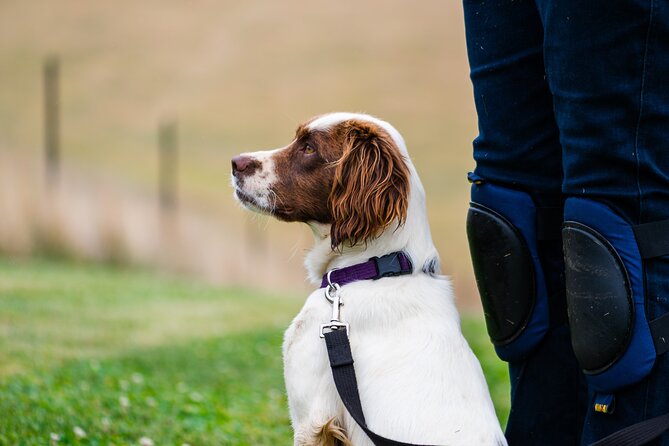 Truffle Hunt and Taste Experience in Oberon, NSW Australia - Who should book this experience