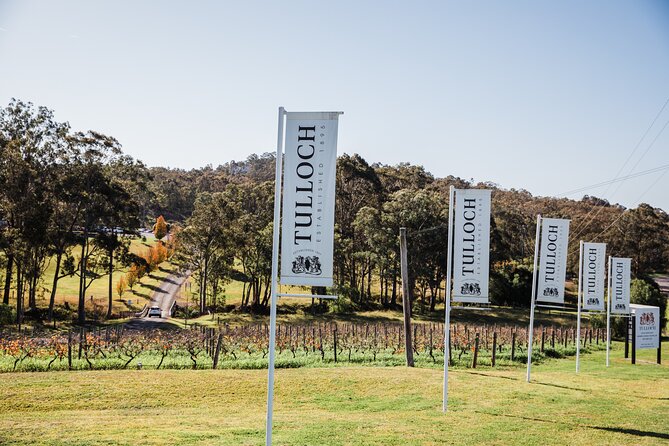 Tulloch Wines Hunter Heroes Wine Tasting with Local Cheese & Charcuterie Board - Who should book the Hunter Heroes experience?