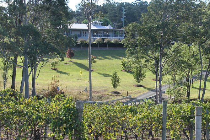 Tulloch Wines- Tasting of 6 Pokolbin Dry Red Shiraz Vintages with Charcuterie - Six Pokolbin Dry Reds tell the Tulloch story