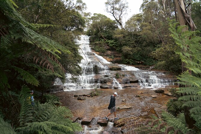 Ultimate All Inclusive Blue Mountains with Scenic World Tour - Sydney Zoo brings animals into the afternoon