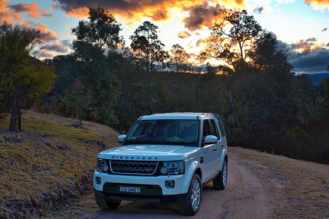Ultimate Blue Mountains and Wildlife Tour - Why this Blue Mountains tour feels different