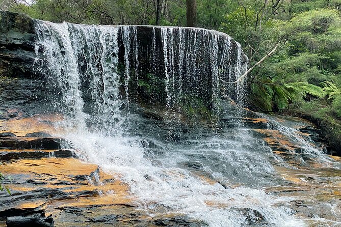 Ultimate Blue Mountains Private Tour with Scenic World and Wildlife Park - Featherdale puts Australian wildlife first
