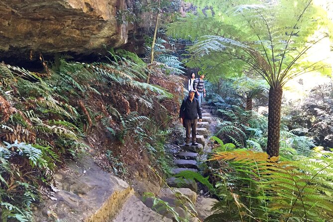 Ultimate Blue Mountains Private Tour with Scenic World and Wildlife Park - Katoomba Falls adds a short rainforest walk