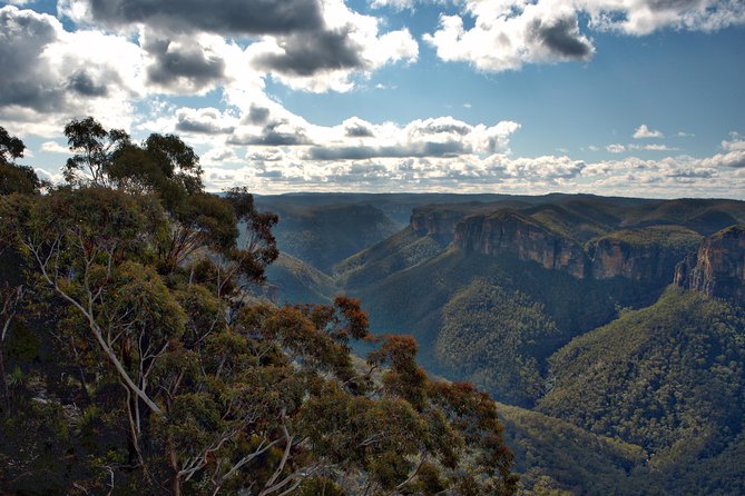 Unforgettable Blue Mountains Day Tour - Tea, fruit, biscuits, and the value of small comforts