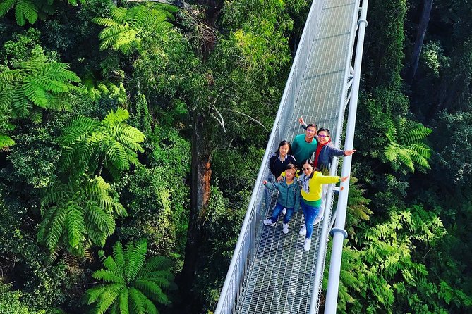Waves Waterfalls and Wineries Full-Day Southern Highlands Private Tour - Fitzroy Falls and the superb lyrebird