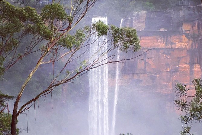 Waves Waterfalls and Wineries Full-Day Southern Highlands Private Tour - Another winery, or cheese and chocolate in Bowral