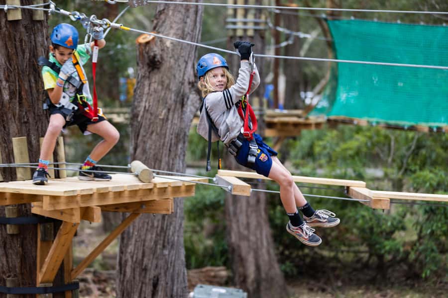 Western Sydney: Junior Tree Ropes Courses - Continuous safety keeps the focus on confidence