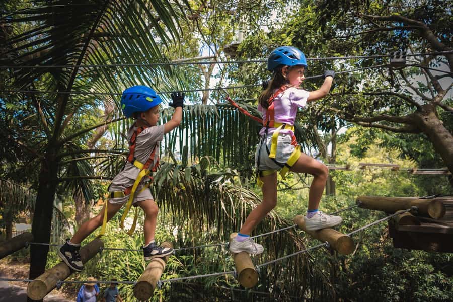 Western Sydney: Junior Tree Ropes Courses - What the 150-minute session feels like