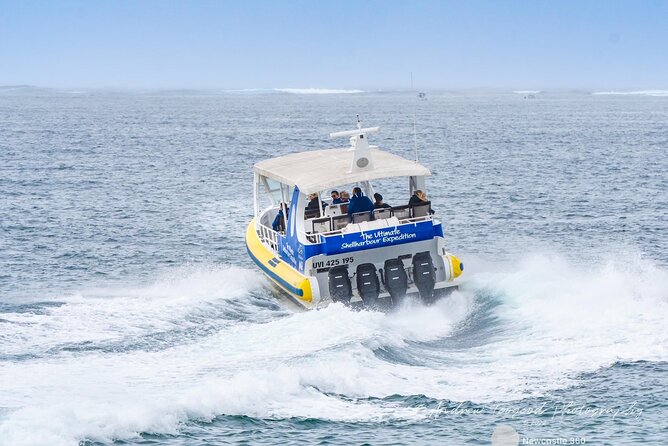 Whale Watching Cruise in New South Wales - Handling swell, weather, and uncertainty