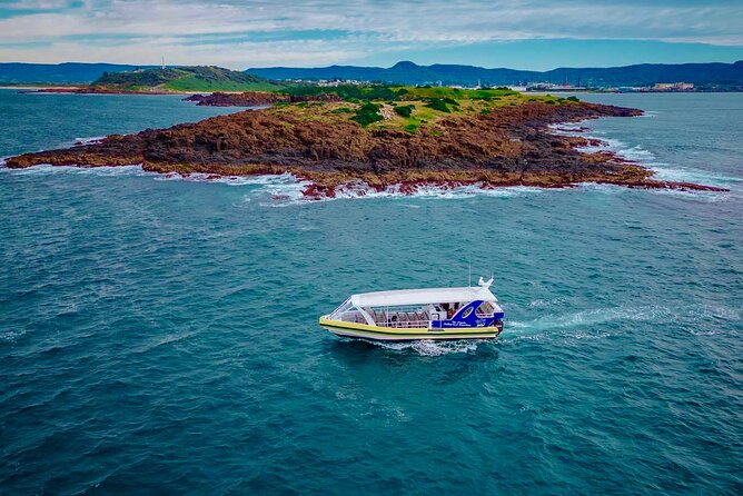 Whale Watching Cruise in New South Wales - The strongest reasons to go
