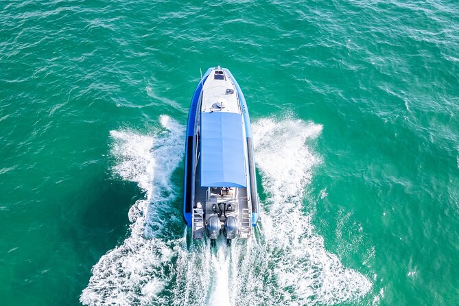 Whale Watching Discovery Tour from Lake Macquarie - Meeting Hydro at Swansea Channel