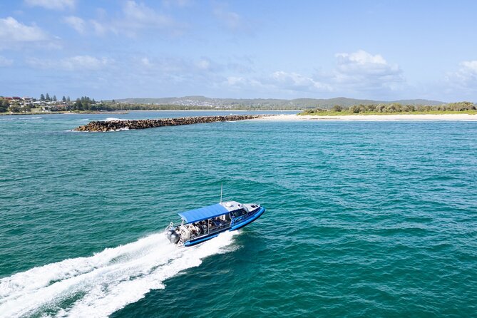 Whale Watching Discovery Tour from Lake Macquarie - What the water-level view really means
