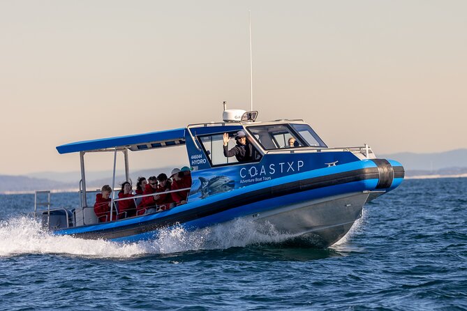 Whale Watching Discovery Tour from Lake Macquarie - Who should book this tour