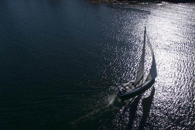 Whale Watching Sailing Experience in Sydney - The crew and the tone of the trip