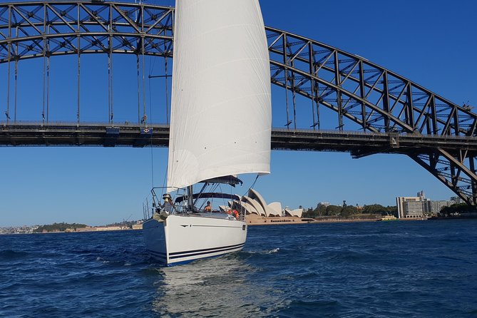 Whale Watching Sailing Experience in Sydney - Is $71.01 good value?